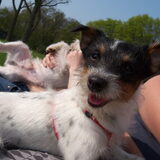 dat doet het liefst heel de dag lekker op me schoot....