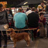 Show bleiswijk