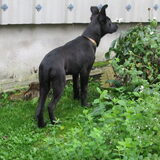 op verkenning in de tuin 2