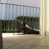 Hier lig ik weer he :-) 28-10-2013