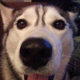 Hallo!!!!!