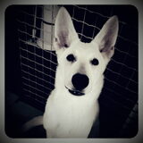 Winter, 5 maanden oud!