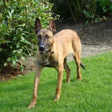 Foto van Amy