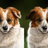 Twee versies van Olly's gezicht.