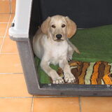 nog in Spanje, 3 maandjes oud