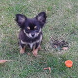 Ons kleine schat Qvina