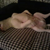 relax
