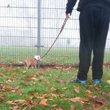 samen na voetbal aan het kijken