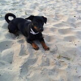 Foto van Mandy