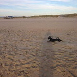in actie