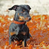 Als pup :)