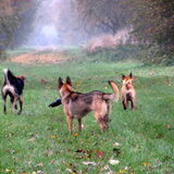 Foto van Tamara - Abby, Anna, Jamie, Aylin & Suki