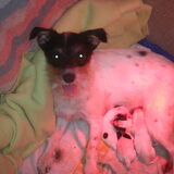 is ze niet mooi....