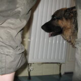 Foto van Inge & Danger