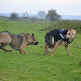 ''Oh neeee, Tessa is boos!''