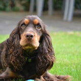 Foto van Valérie, Milo en Noa
