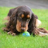 Foto van Valérie, Milo en Noa