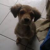 mickey