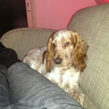 Foto van Crissy, Joey en Kiwi
