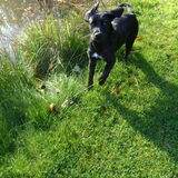Woeii daar gaan me flappers
