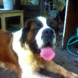 mis je nog steeds mijn knuffelboemerke 08.02.02-1/2.11.2005 is al jaren…