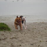 Twee lompe jongens ;)