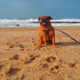 Foto van diane en tank