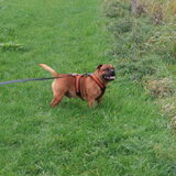 Foto van diane en tank