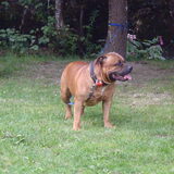 Foto van diane en tank