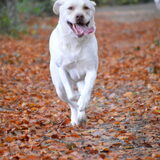 Foto van esther
