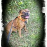 Foto van diane en tank