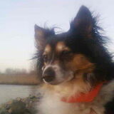 dit is onze maxy