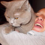 de kat