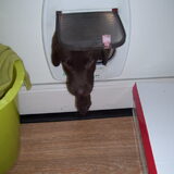 Foto van Marleen