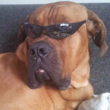 Foto van Irene