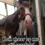 Foto van Eef en Tjibbe