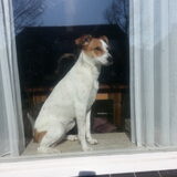 Foto van Missy & Lady †