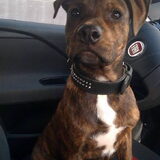 Odin op 29/09/13 (4maand en 26dagen)