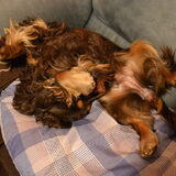 Foto van Valérie, Milo en Noa