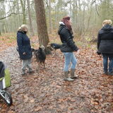 HP wandeling 8 december