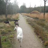 Foto van Manon, Silver Sky&Malaika