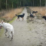 Foto van Manon, Silver Sky&Malaika