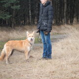 Foto van Manon, Silver Sky&Malaika