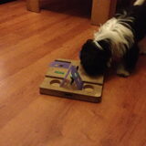 puzzelen