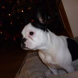 Gwen