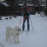 Kyra met mij aan het skijoring
