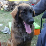 lilou :)