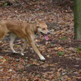 Romy 11 maand