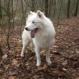 december 2010, 1 jaar oud