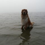 Foto van Loes